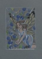 Blueberry Fairy